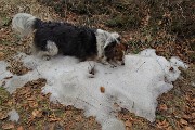 60 Nika si gusta un po' di fresca neve